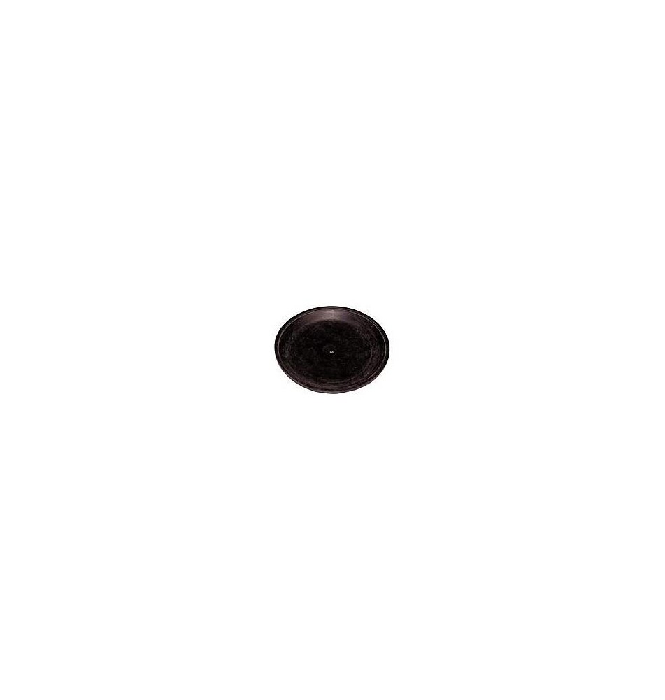 Membrana