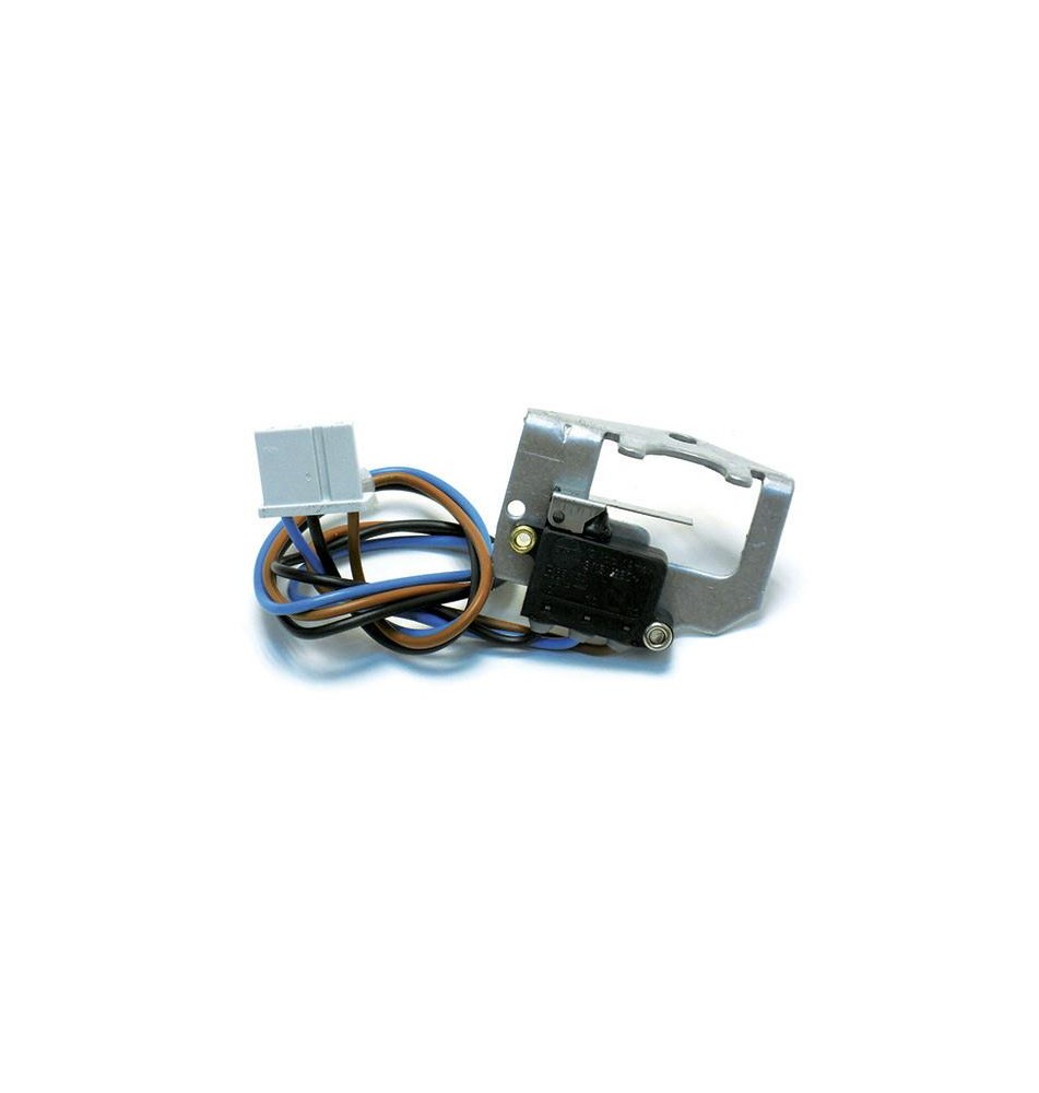Microinterruptor
