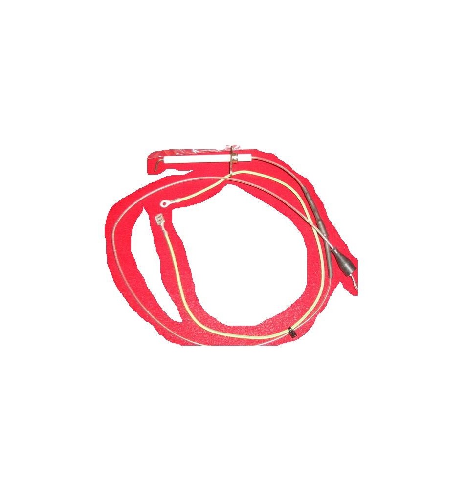 Electrodo de acendimento