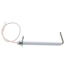 Electrodo de ionização