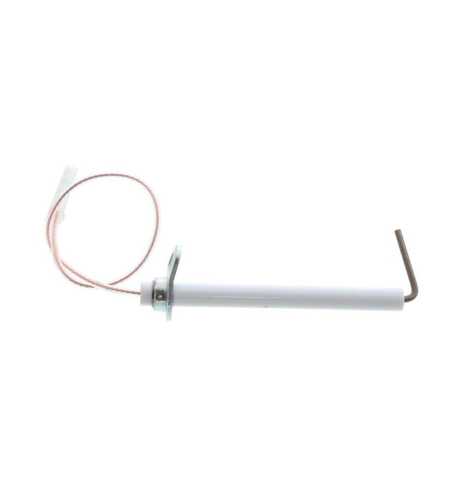 Electrodo de ionização