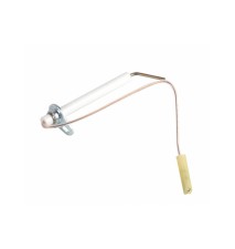 Electrodo de ionização