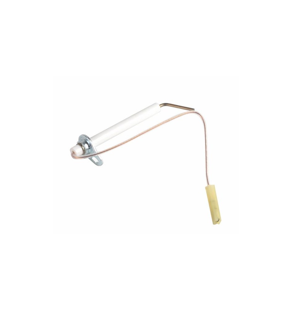Electrodo de ionização
