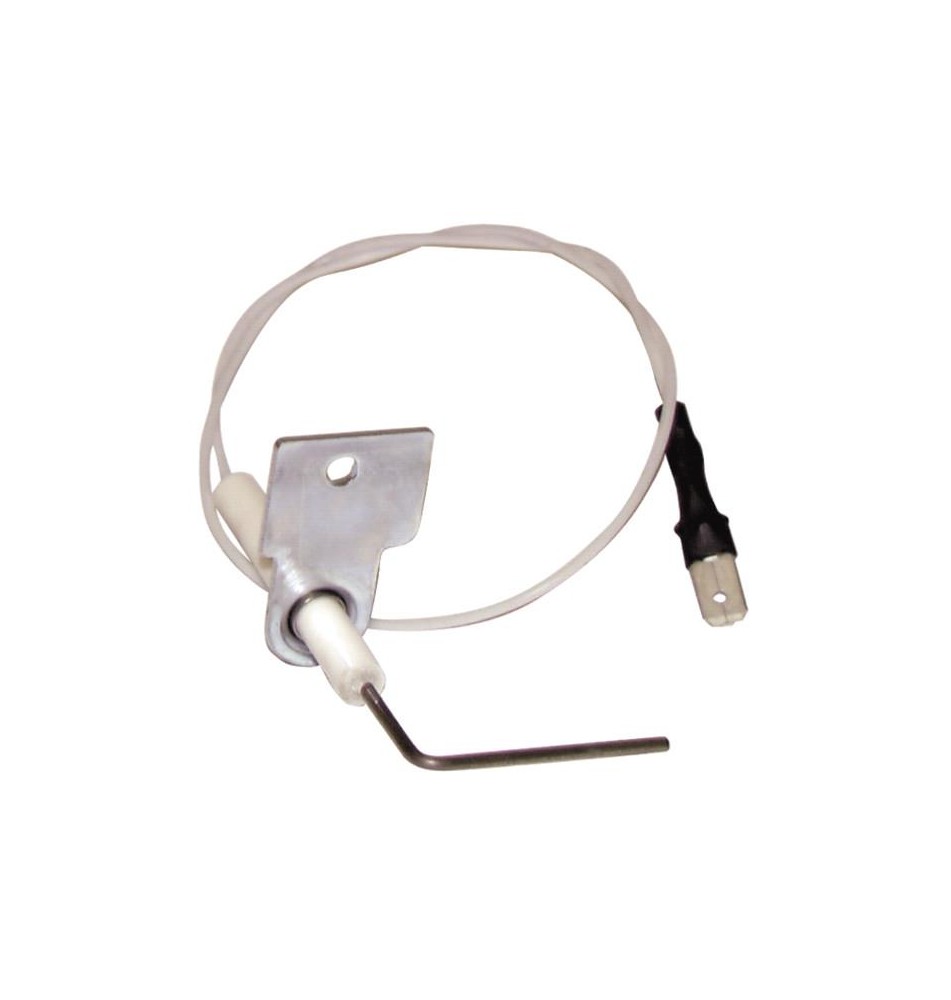 Electrodo de Ionização