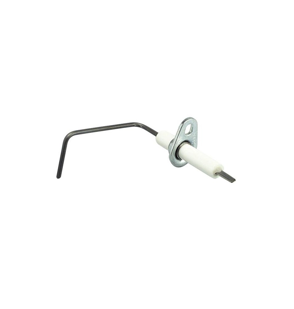 Electrodo de ionização