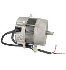 Motor Crono