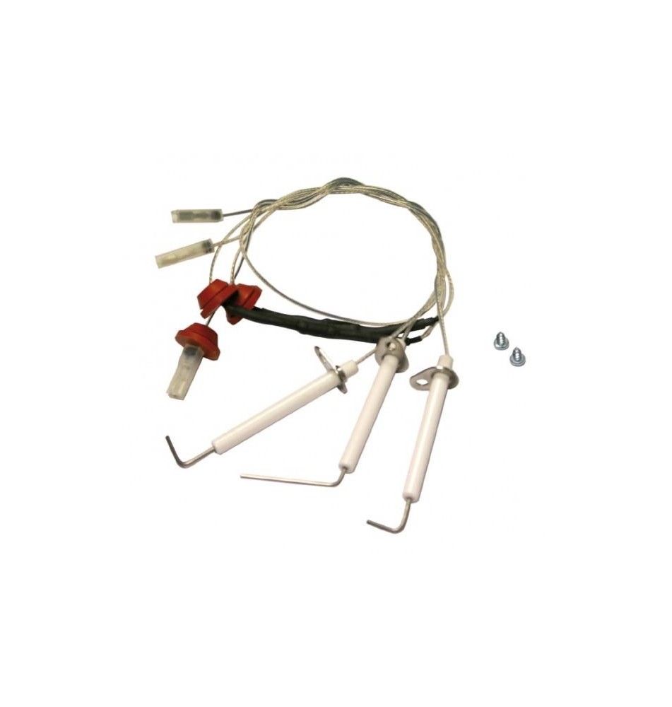 Sonda ionização + elétrodos
